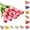 B008- Red, variant on Faux Tulips Real Touch, Artificial Flowers for Decoration, 14 in Pu Stems, Pink Home Decor, Kitchen Table Centerpieces Decor, Light Pastel Pink, 1 Pc