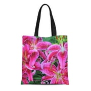 KDAGR Canvas Tote Bag Cottage Stargazer Oriental Lilies Side Geometric Garden Secret Flower Reusable Handbag Shoulder Grocery Shopping Bags
