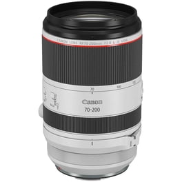 Canon RF 70-200mm F2.8 L IS USM - Walmart.ca