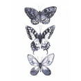 thumbnail image 2 of Popp, Grace 12x14 Black Ornate Wood Framed with Double Matting Museum Art Print Titled - Monochrome Butterflies I, 2 of 4