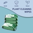 thumbnail image 3 of happimess Essential Oil Infused Plant Cleaning Wipes, Remove Dust, Dirt, Water Spots and Restore Natural Leaf Shine (4 Pack, 400 Count), 3 of 6