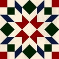 thumbnail image 3 of Barnes, Victoria 20x20 Black Modern Framed Museum Art Print Titled - Christmas Barn Quilt II, 3 of 5