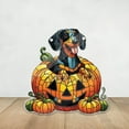 thumbnail image 5 of Fiudx Decoración de Calabaza de Halloween para Perro, Colgante de Ventana de Acrílico, Diseño Festivo Llamativo, Multifuncional para Fiestas, Fácil Instalación, Apto para Puerta de Entrada o Porche,, 5 of 5