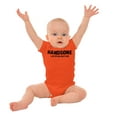 thumbnail image 3 of Handsome Like My Big Brother Siblings Bodysuit Jumper Boys Infant Baby Brisco Brands 12M, 3 of 6