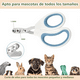 thumbnail image 4 of Cepillo Peine Para Perro Gato Mascotas Quitar Exceso De Pelo,4 Piezas Lab.G, Verde Claro, 4 of 5