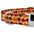 thumbnail image 7 of Country Brook Petz® Premium Nature Walk Dog Collar and Leash Limited Edition, XL, 7 of 7