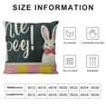 thumbnail image 5 of Easter Throw Pillow Covers of , Bunny Hello My Peeps Cartoon Mouse Striped Farmhouse Decorative Cushion Case Decor for Home Sofa Couch Decoration, 5 of 5