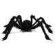 thumbnail image 1 of Araña De Peluche De 75Cm, Accesorio De Decoración De Halloween, Simulación De Esqueleto, Gran Araña, Fantasma, Festival, Accesorios De Terror Advancent HA046296-09, 1 of 6