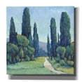 thumbnail image 1 of Epic Graffiti 'Cypress Path II' by Tim O'Toole, Canvas Wall Art, 18"x18", 1 of 2