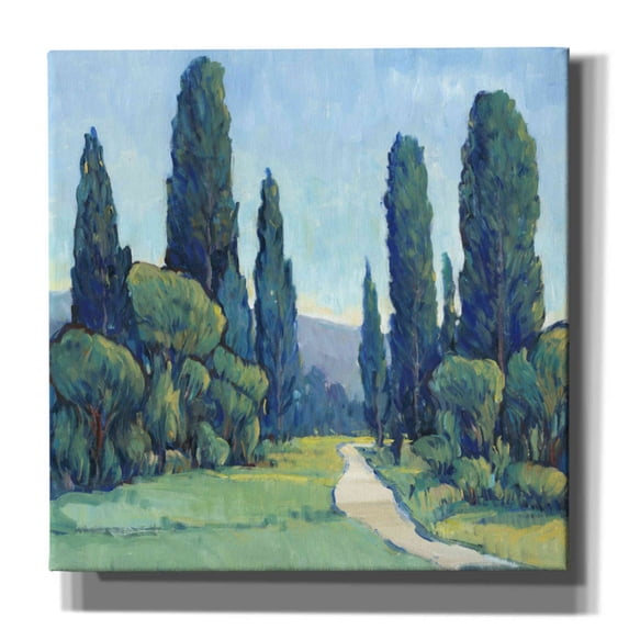 Epic Graffiti 'Cypress Path II' by Tim O'Toole, Canvas Wall Art, 18"x18"