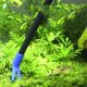 thumbnail image 3 of Herramientas de limpieza de acuario 5 en 1 esponja cepillo red pescado grava rastrillo algas raspador JShteea Para estrenar, 3 of 5