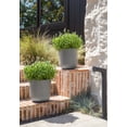thumbnail image 3 of Veradek Mason Series Kona 10" Plastic-Stone Planter 2-Pack Gray, 3 of 10