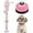 Pink, variant on Dalrosia 2PCS Dog Doorbells, Pet Training Bells for Go Outside Potty Training and Communication Device Large Loud Dog Bell Cat Puppy Interactive Toys Adjustable Strap Door Bell