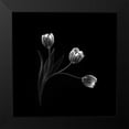 thumbnail image 2 of Pan, Sophie 15x15 Black Modern Framed Museum Art Print Titled - Trio, 2 of 5