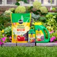 thumbnail image 2 of Miracle-Gro Shake N Feed All Purpose Plant Food 12-4-8  3.6 Kg Refill, 2 of 5