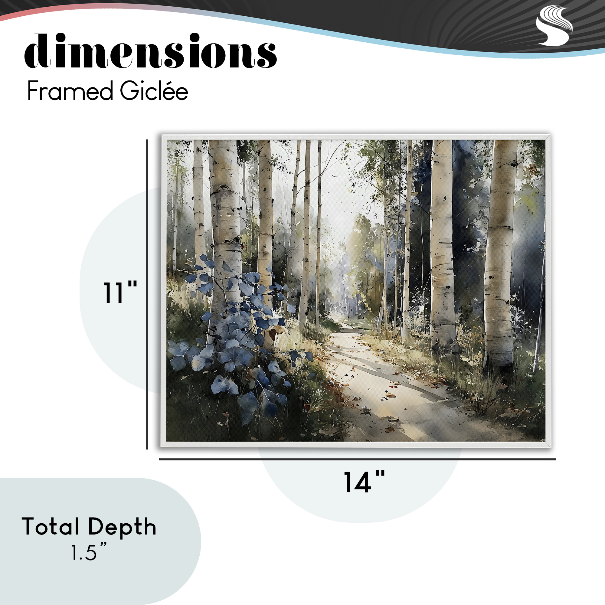 Stupell Industries Blue Birch Sunlit Forest White Framed Giclee Art, design by Franklyn Gregory