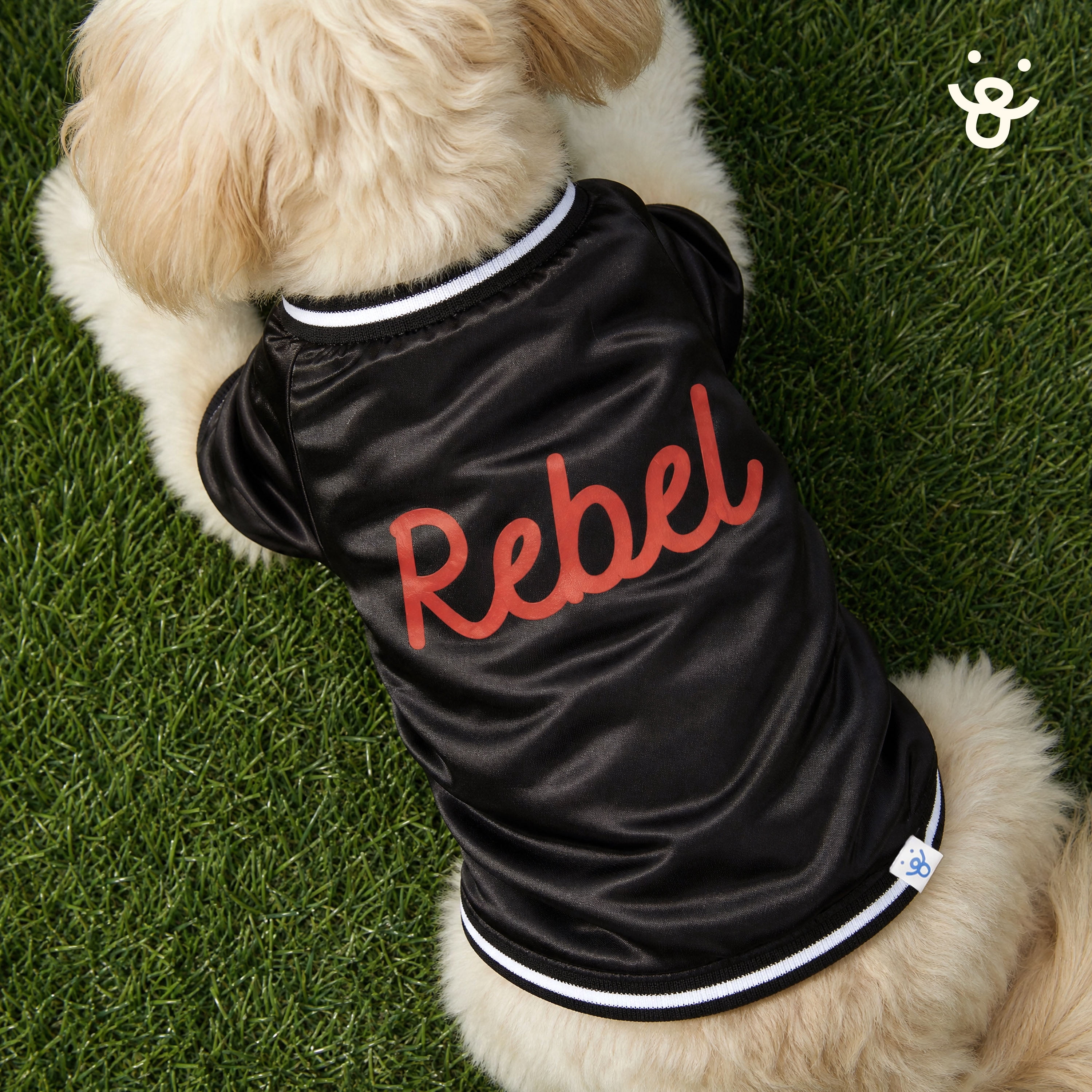 Oodles Rebel Fall Dog Jacket, Black, Large