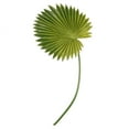 thumbnail image 5 of DRAFIDEEP 1Pcs Artificial Palm Fronds For Decoration In Realistic Style, 5 of 8