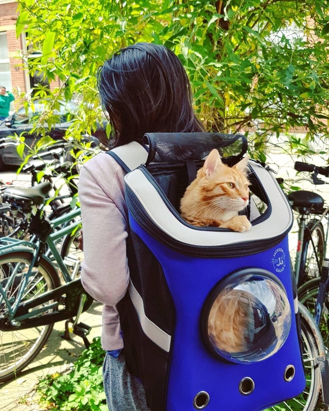 Your Cat Backpack The Jackson Galaxy Convertible - image 4 of 6