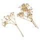 thumbnail image 1 of Hojas prensadas de Flores secas naturales Sunnimix para decoración de hogar, 1 of 8