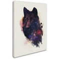 thumbnail image 2 of Trademark Fine Art 'Universal Wolf' Canvas Art by Robert Farkas, 2 of 3