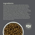 thumbnail image 5 of Muenster Ancient Grains With Ocean Fish Dog Food, All Life Stages, 4 lb Bag, 5 of 11