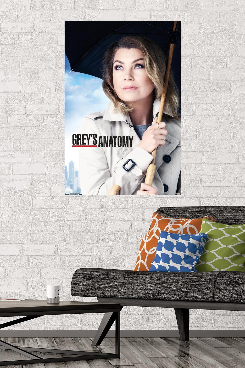 Grey's Anatomy Season 12 - One Sheet Wall Poster, 22.375" x 34"