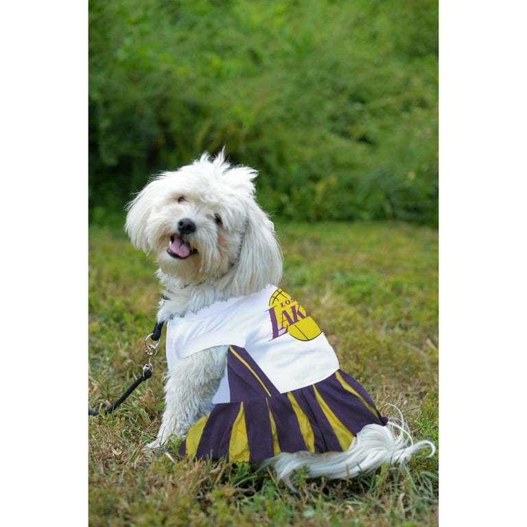Lakers - freakin' adorable!  Dog cheerleader, Cheerleading