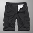 thumbnail image 1 of SDNall Hommes Casual Solide Fermeture Éclair Bouton Poches Élastique Taille Recadrée Cargo Shorts, 1 of 9