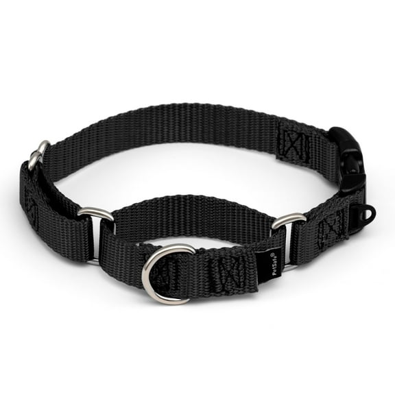 PetSafe Martingale Collar with Quick Snap Buckle