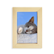 thumbnail image 1 of Kitty gato mascota relajarse dormir animal adorable Escritorio de madera Arte Pintura 5x7 pulgadas marco de foto foto, 1 of 4