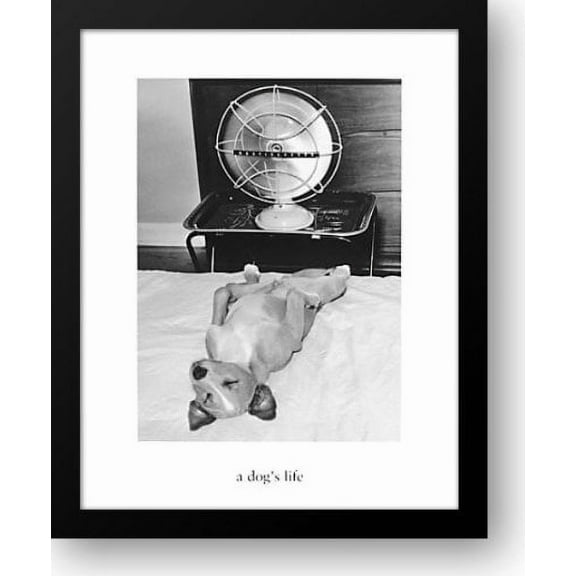 A Dog's Life 26x32 Framed Art Print by Tinney, Jack