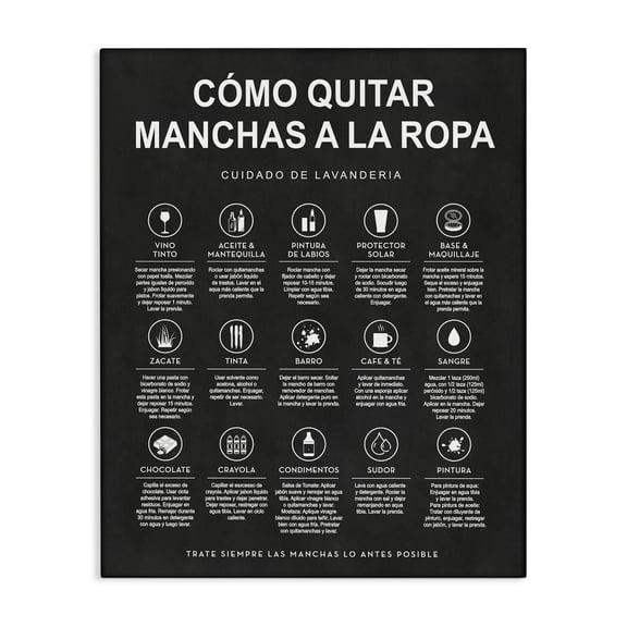 Stupell Industries GuÃa de Limpieza de Manchas, Negro Bath & Laundry Painting Wrapped Canvas Art Print Wall Art, 16 x 20