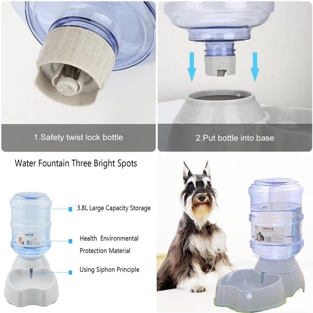 dog automatic water dispenser