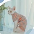 thumbnail image 3 of Sphynx Cat Clothes Striped Cat T-Shirt Stretchy Cat Sweater Apparel,M,Orange, 3 of 6