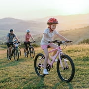 Ktaxon 20in Mountain Bike 7 Speed with Steel Frame, V Brake, Pink