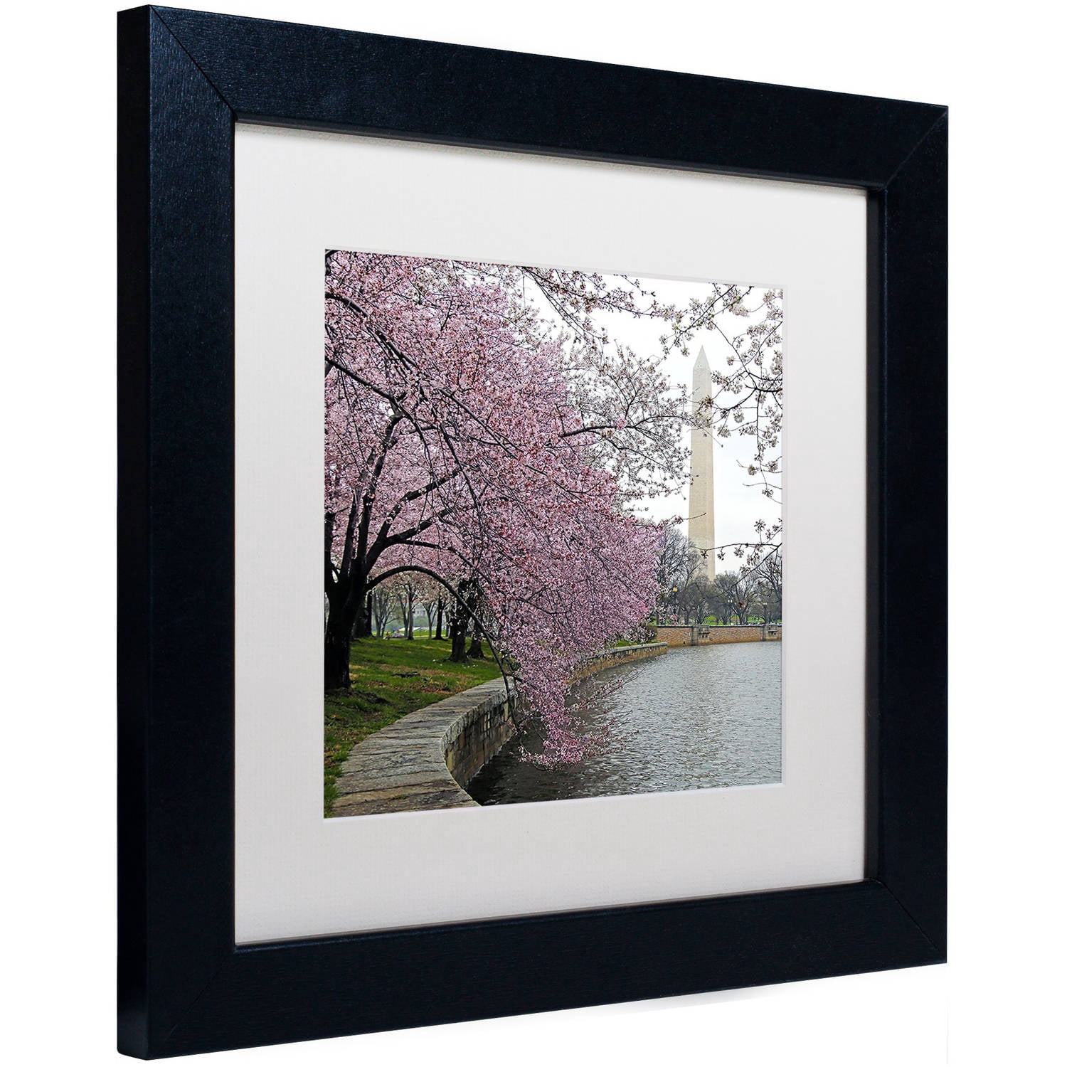 Trademark Fine Art "Washington Blossoms" Canvas Art by CATeyes, White Matte, Black Frame