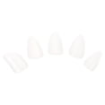 thumbnail image 1 of MasteelfCA 5pcs Professional Nylon Pipa Nails String Instrument Parts Pipa Accessories, 1 of 7