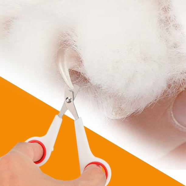 Tijeras de acero inoxidable para uñas de mascotas, cortaúñas para perros y gatos (blanco)