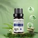 thumbnail image 3 of Ganfancp Aceite Corporal 10Ml Hidratante Cuidado de La Piel Aceite de Masaje Fragancias Calmante Cuidado de La Piel Masaje Nutritivo Integral Liquidación Ventas Hoy Ofertas Prime 1* Aceite Esencial, 3 of 6