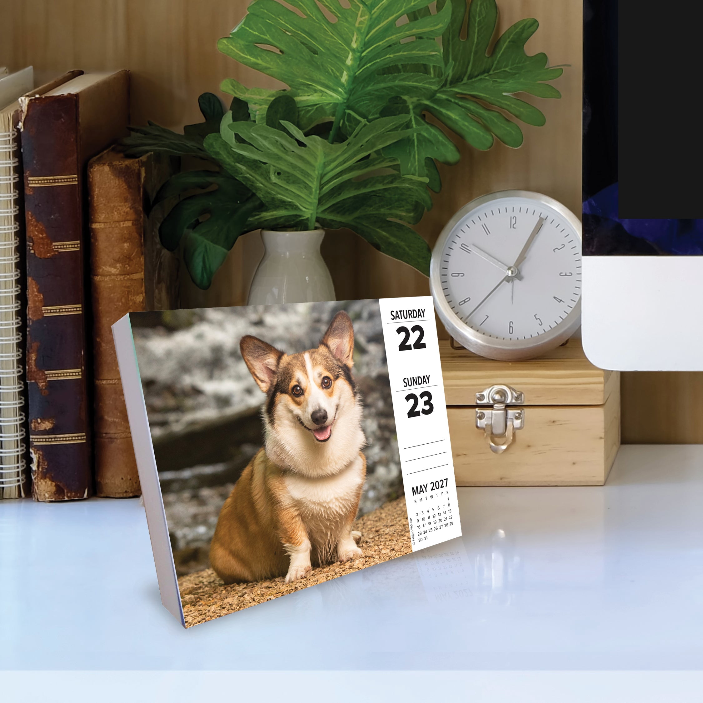 Willow Creek Press, Corgis 2027 Box Calendar