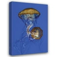 thumbnail image 1 of Erin Berzel 13x18 Gallery Wrapped Canvas Wall Art Titled - Jellyfish II, 1 of 4