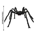 thumbnail image 4 of Realistic Hairy Giant Spider Real Large Spiders for Halloween Outdoor Decoration House Prank Prop 59in, 4 of 9