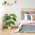thumbnail image 3 of Der Rose 28" Artificial Faux Monstera Plant in White Striped Pot Indoor & Outdoor Decor, 3 of 8