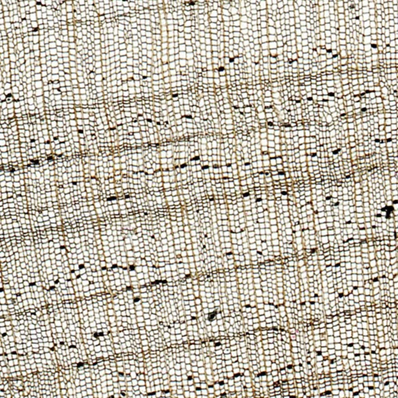 Cork, Sec., 20  Microscope Slide