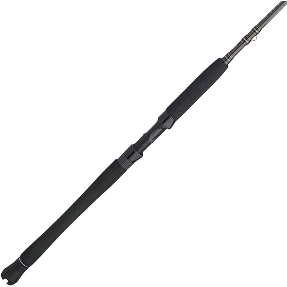 PENN Carnage III Inshore Spinning Rod, 7' Fishing Pole, Medium Power, Extra Fast