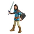 thumbnail image 3 of Disguise Boys' Legend of Zelda: Tears of the Kingdom Link Costume - Size 7-8 - Blue, 3 of 3