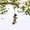 A, variant on TopLLC Witch Bells Protection For Door Knob Hanger Wind Chimes Witchy Things Clear Negative Energy Witchcraft Supplies For Boho Home Room Decor