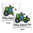 thumbnail image 3 of Fundas de almohada de terciopelo Diddly Squat Farm, fundas de almohada decorativas suaves y acogedoras con cremallera oculta para dormitorio, sofá, sillón, funda de almohada de terciopelo, 3 of 8