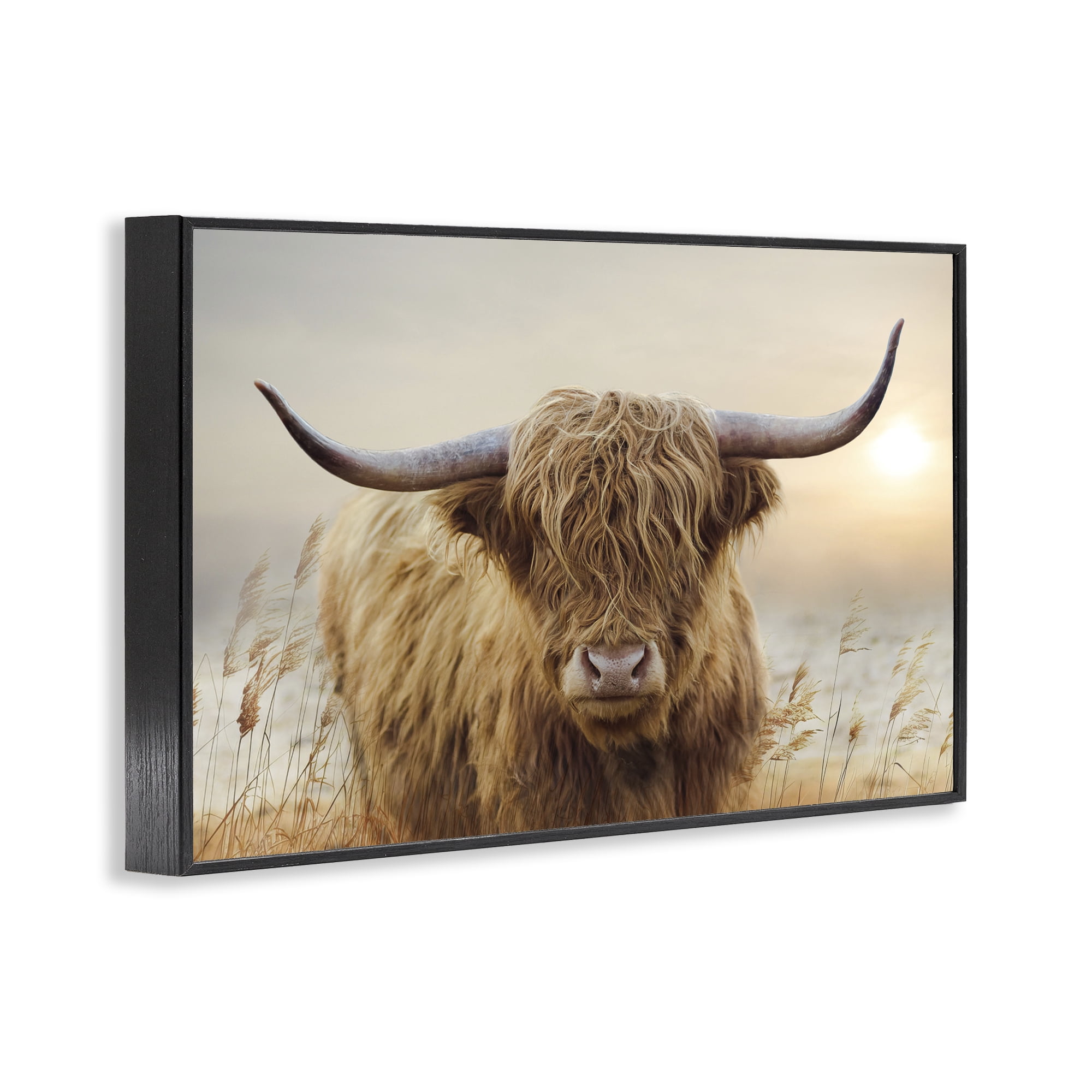 Stupell Industries Highland Cow & Warm Sunset Black Framed Giclee Art, design by CAD Designs